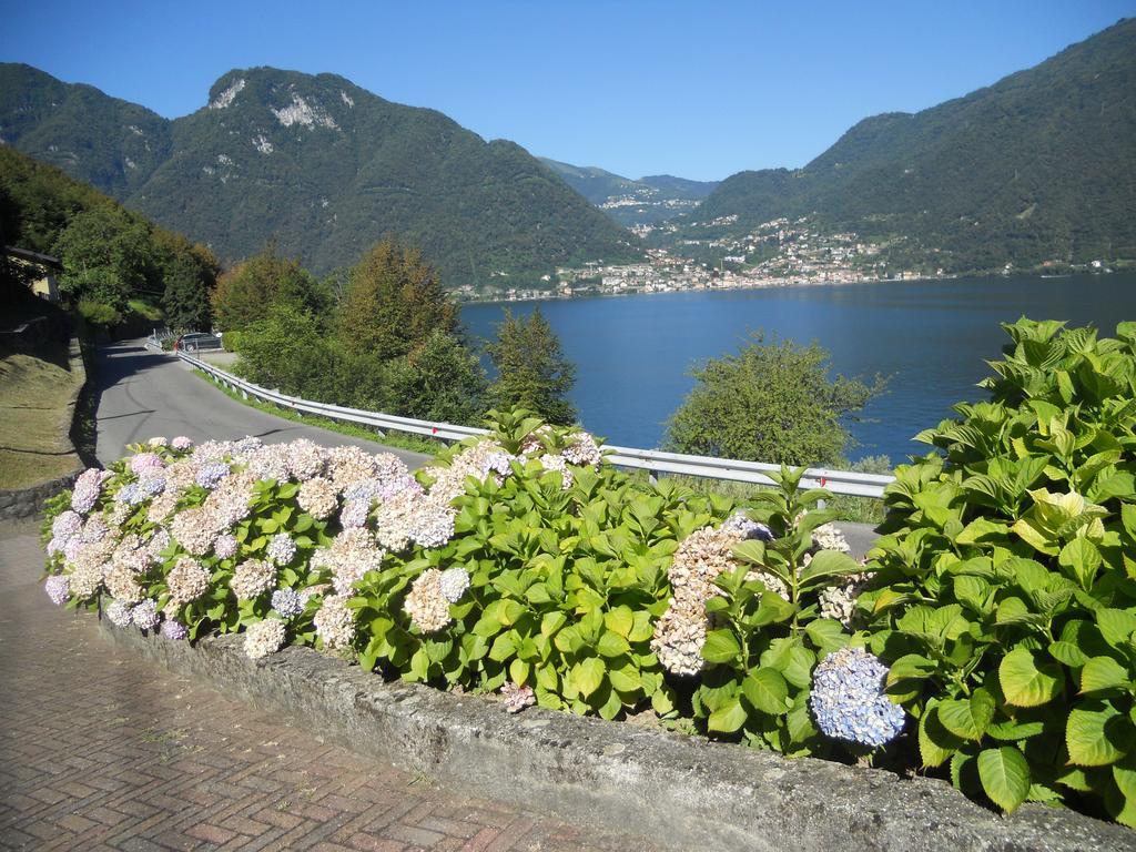 The Silence Holiday Apartment Lezzeno Bagian luar foto