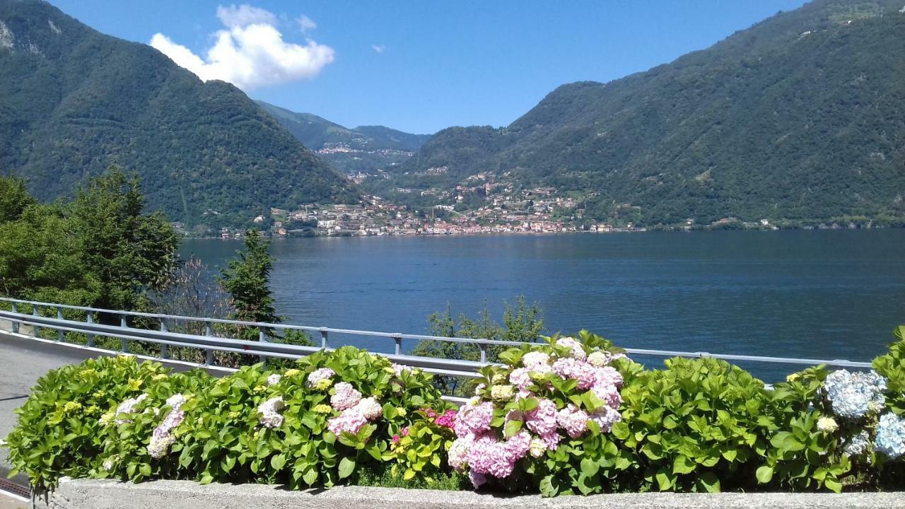 The Silence Holiday Apartment Lezzeno Bagian luar foto